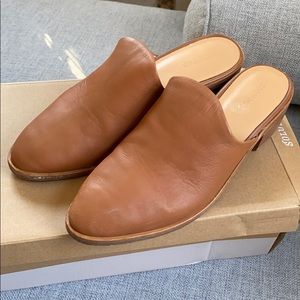 Soludos Venetian Mule